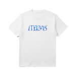 Mégas Made in Lagos Danfo T-shirt - Image 2